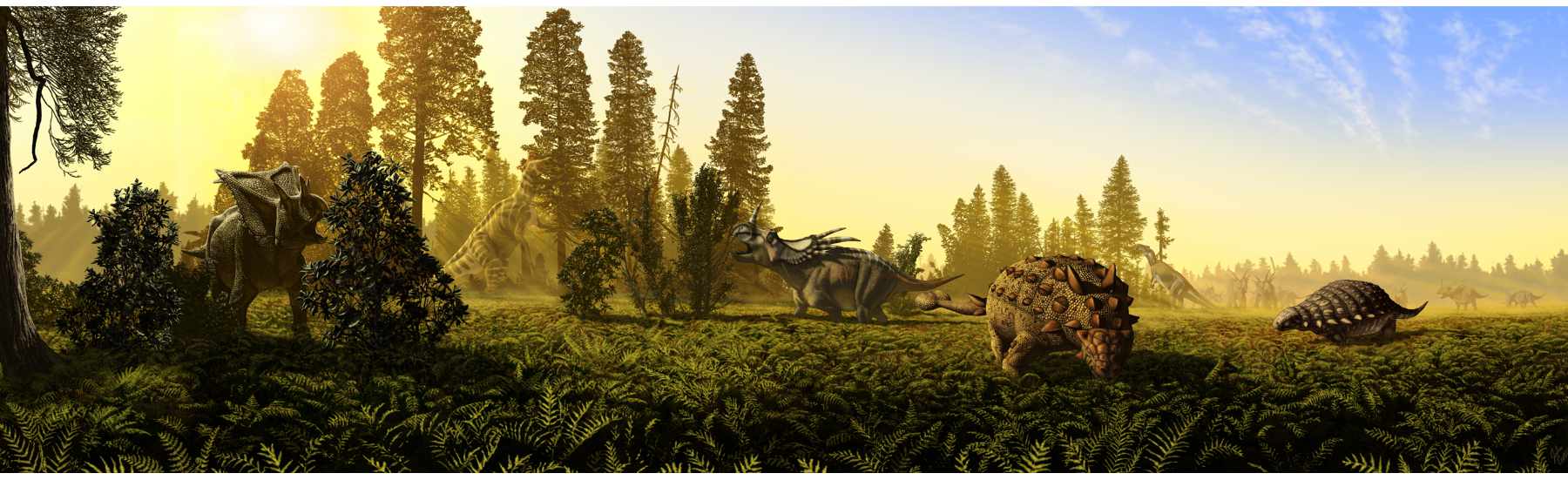 Grafik: © Julius T. Csotonyi