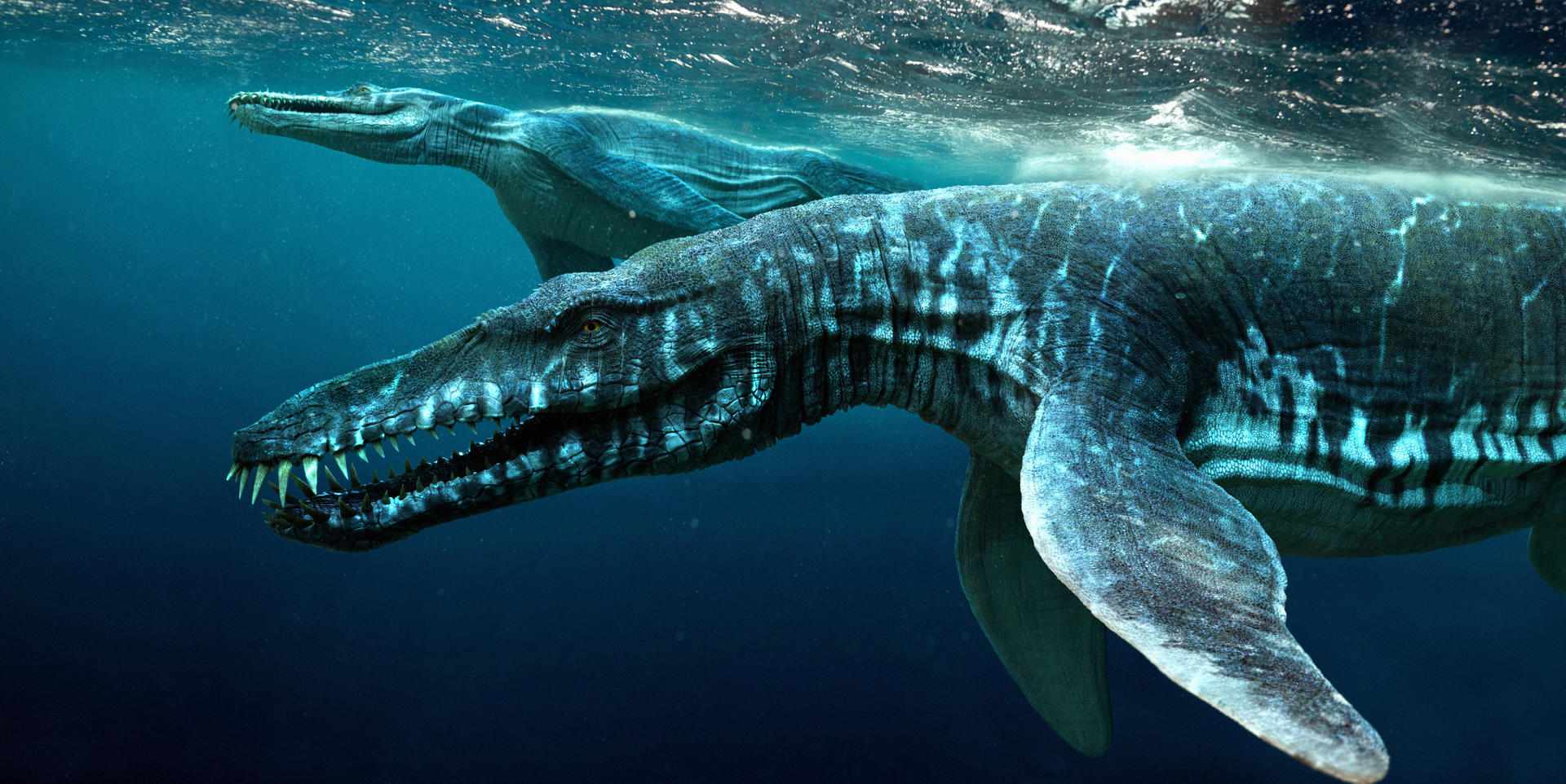 Liopleurodon / © Johnson Mortimer Liopleurodon / © Johnson Mortimer