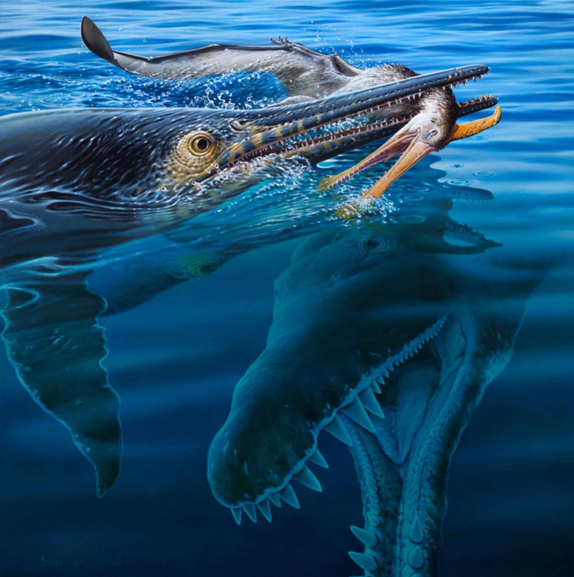 Platypterygius & Kronosaurus / © Peter Trusler