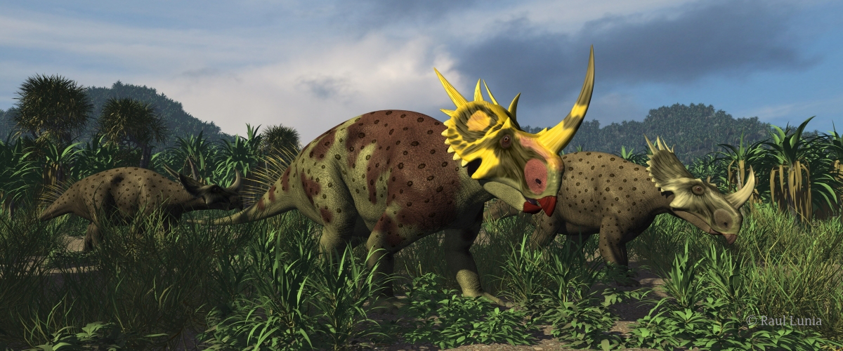Rubeosaurus / © Raul Lunia