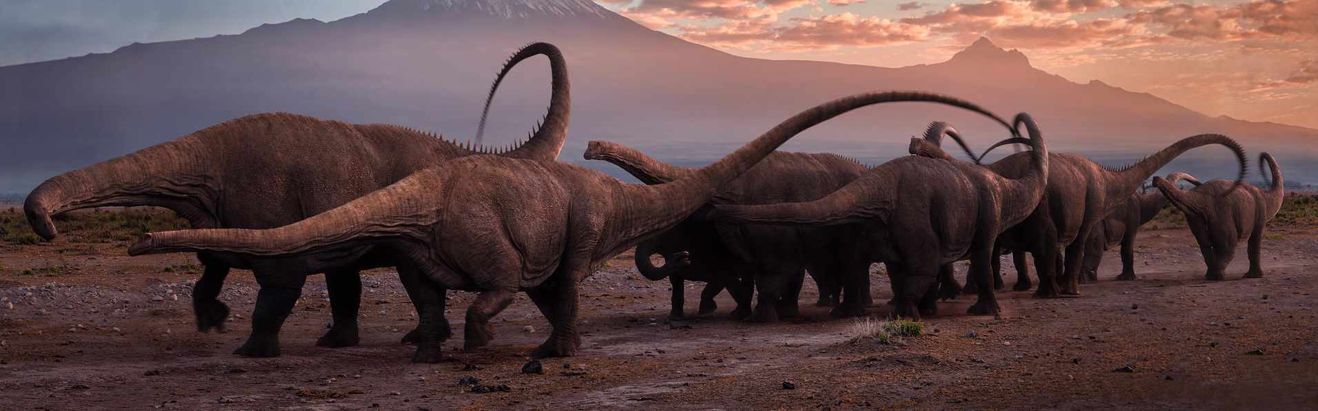 Diplodocus / © Johnson-Mortimer