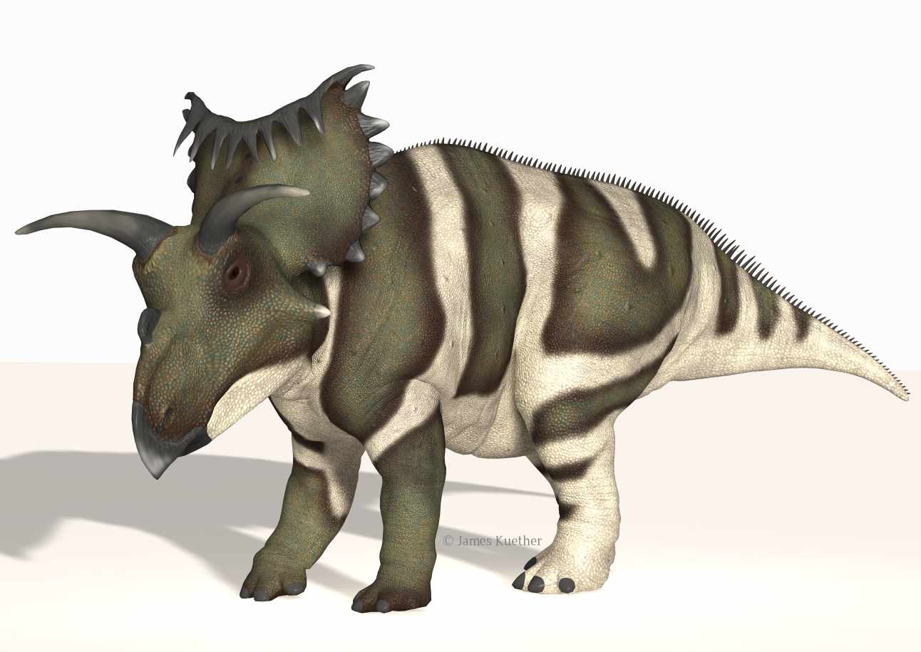Kosmoceratops / © James Kuether / Jameskuether.com Kosmoceratops / © James Kuether / Jameskuether.com