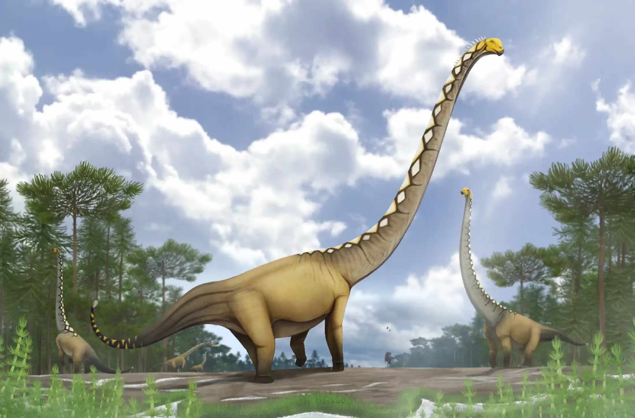 Uragasaurus / © Pakorn Chotchaiyaporn Uragasaurus / © Pakorn Chotchaiyaporn