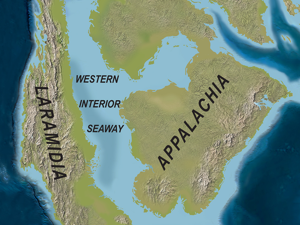 Appalachia / Sampson et al. Creative Commons 4.0 International (CC BY 4.0) Appalachia / Sampson et al. Creative Commons 4.0 International (CC BY 4.0)