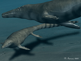 Mosasaurus / © N. Tamura. Verwendet mit freundlicher Genehmigung des Autors.