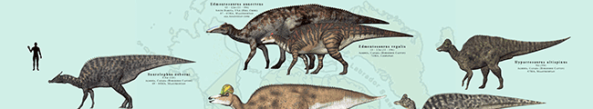 Nordamerikanische Hadrosaurier / © James Kuether. Verwendet mit freundlicher Genehmigung des Autors.