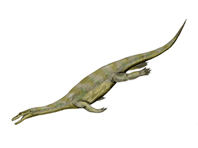 Nothosaurus / © N. Tamura. Verwendet mit freundlicher Genehmigung des Autors