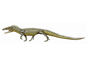 Proterosuchus / Bild ist gemeinfrei (Public Domain) Proterosuchus / Bild ist gemeinfrei (Public Domain)