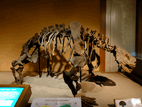 Scutosaurus / Kumiko. Creative Commons ShareAlike 2.0 Generic (CC BY-SA 2.0) Scutosaurus / Kumiko. Creative Commons ShareAlike 2.0 Generic (CC BY-SA 2.0)