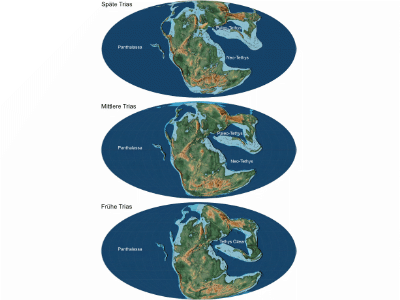 Trias / © Fang et al. Trias / © Fang et al.