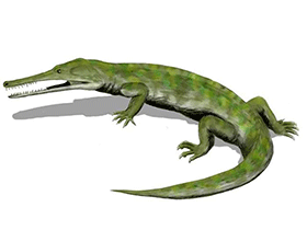 Champsosaurus © N. Tamura. Verwendet mit freundlicher Genehmigung des Autors