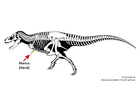 Manus / © Scott Hartman, Dinodata.de