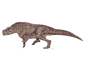 Postosuchus / © Mineo Shiraishi. Verwendet mit freundlicher Genehmigung des Autors Postosuchus / © Mineo Shiraishi. Verwendet mit freundlicher Genehmigung des Autors