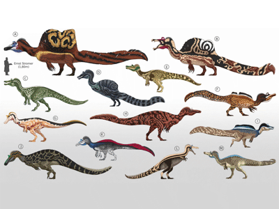 Spinosauridae / © Alex Vieira Spinosauridae / © Alex Vieira