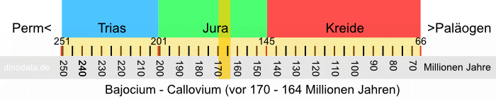 Bajocium - Callovium (Jura)