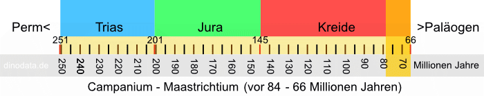 Campanium - Maastrichtium (Kreide)