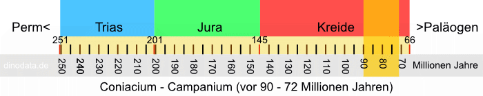 Coniacium - Campanium (Kreide)