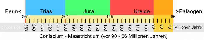 Coniacium - Maastrichtium (Kreide)