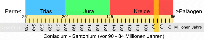 Coniacium - Santonium (Kreide)