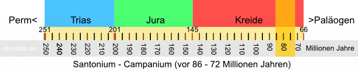 Santonium - Campanium (Kreide)