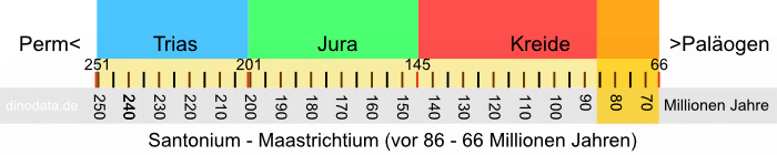 Santonium - Maastrichtium (Kreide)