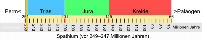 Spathium (Trias)